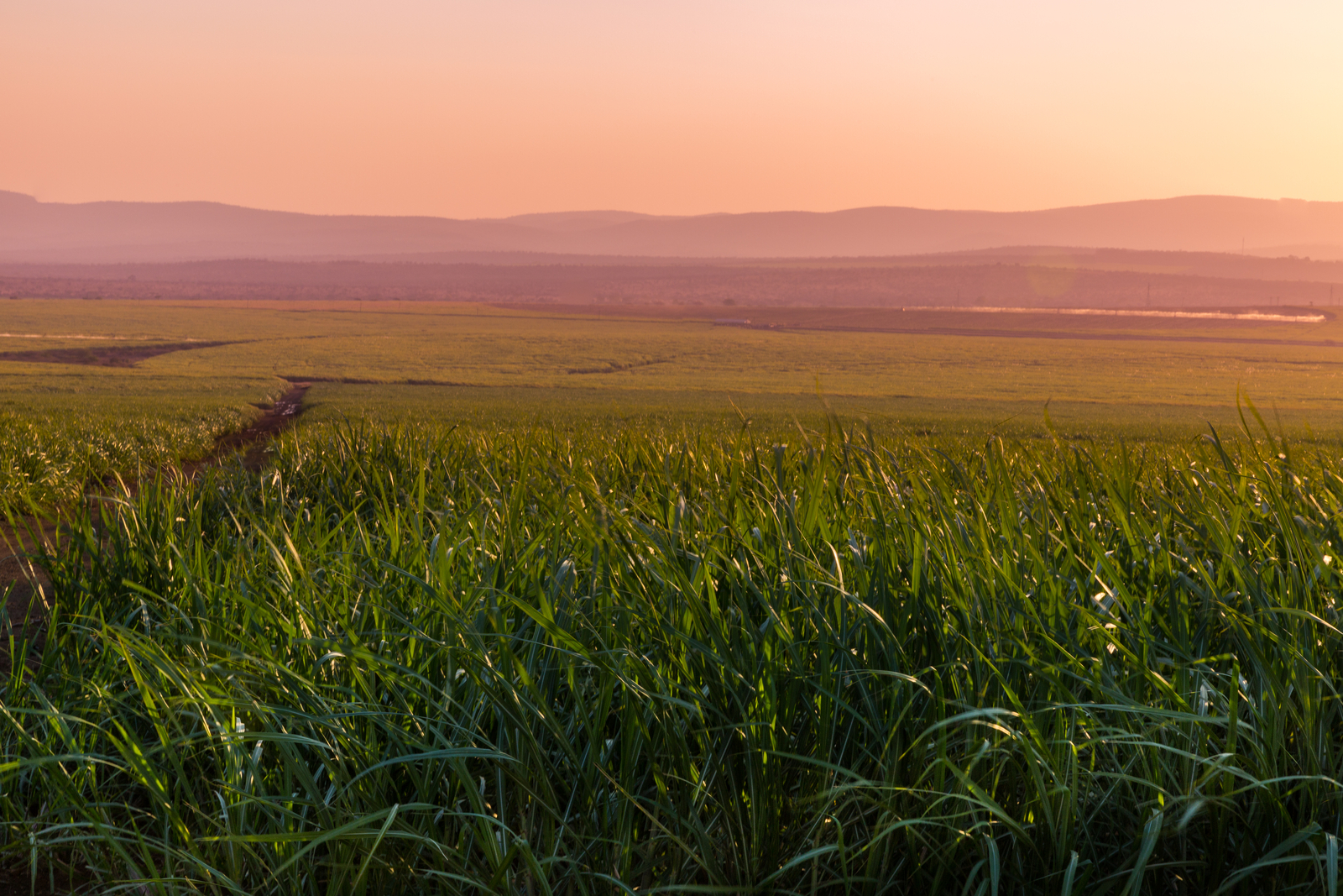 Large scale irrigation  projects