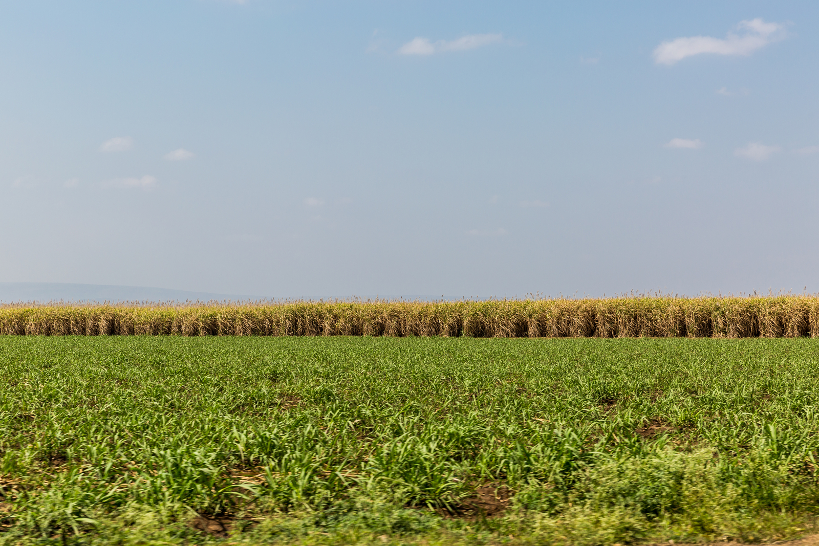 PRECISION IRRIGATION FOR OPEN-FIELDS 