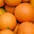 Citrus