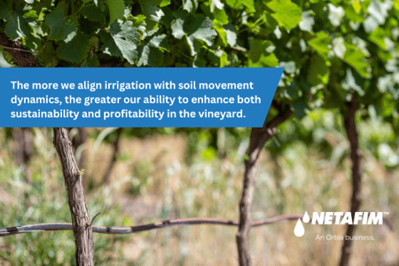 Understanding water movement in soil for vineyard success