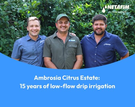 Ambrosia: 15 Years of low-flow drip irrigation
