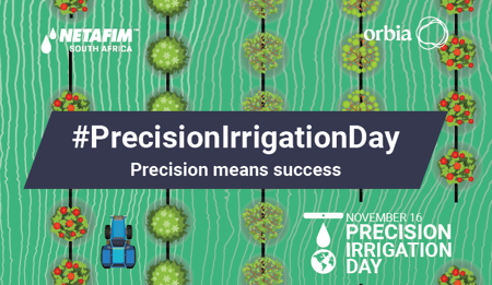 Precision Means Success