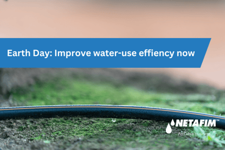 Improved water-use efficiency key to agri sustainability 