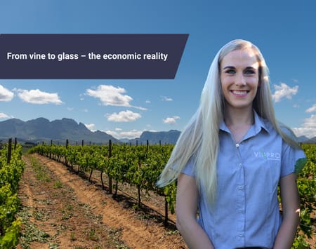 From vine to glass – the economic reality