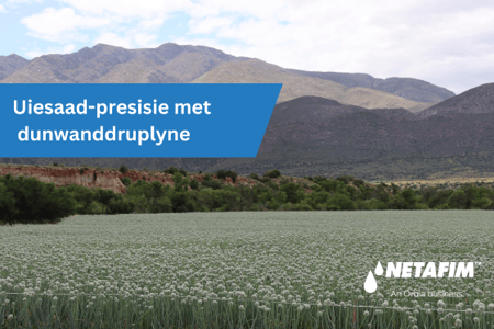 Dekades met Drupbesproeiing: Presisie en Uiesaadproduksie