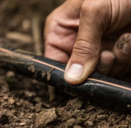 Dripline Flushing - Do It!