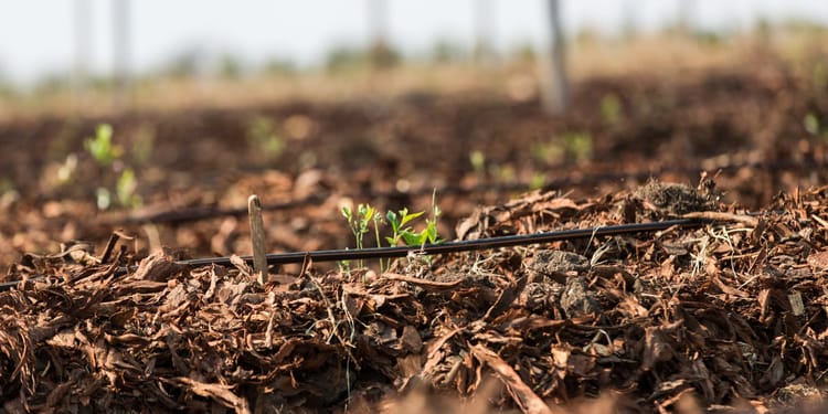 Precision irrigation solutions for field crops