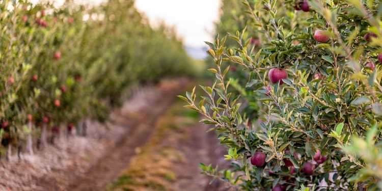 PRECISION FERTIGATION™: BETTER CROPS, EVERY TIME. 