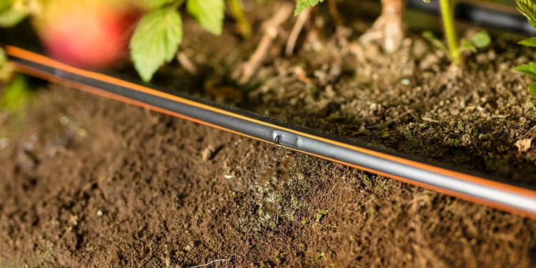CONTINUOUS IRRIGATION