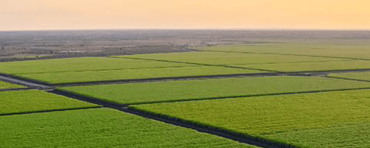NETAFIM - Digital Farming Information