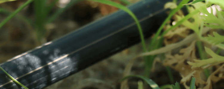 NETAFIM - Dripline Information