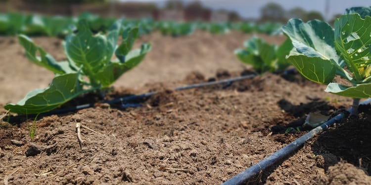 NetaKits™ - Drip Irrigation Kits 
