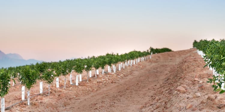 Precision irrigation academy