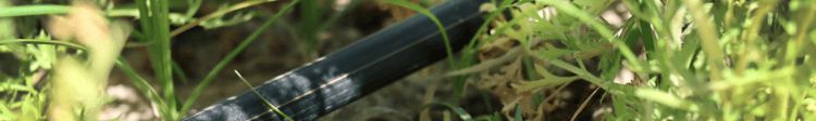 Banner Understanding water movement in soil for irrigation success