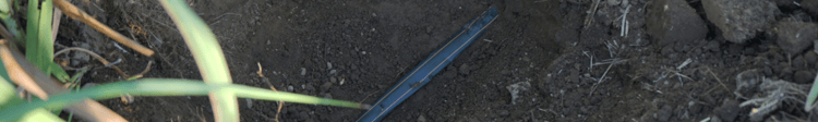 Banner GreenFuel and Netafim – partnering for sustainability