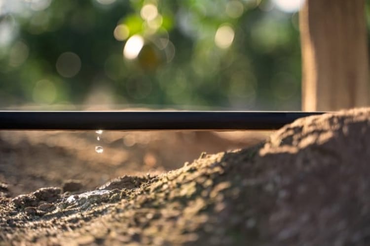 drip watering system, dripline, drip irrigation system, drip irrigation, dripline system, dripper