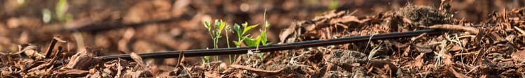 Banner The Power of Prevention: Protecting the Precision in Irrigation