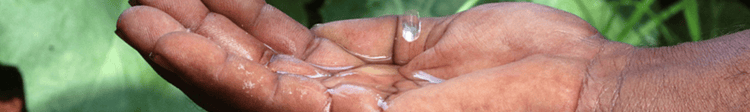 Banner Improved water-use efficiency key to agri sustainability 