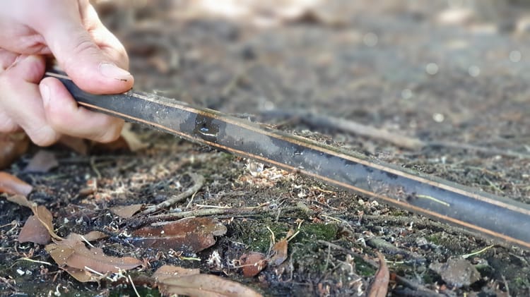 Nuts about low-flow drip irrigation