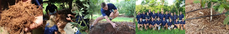 Banner Solving problems with soil compaction: Netafim offers practical help