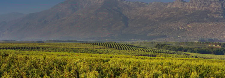 Banner Helping you grow more with less