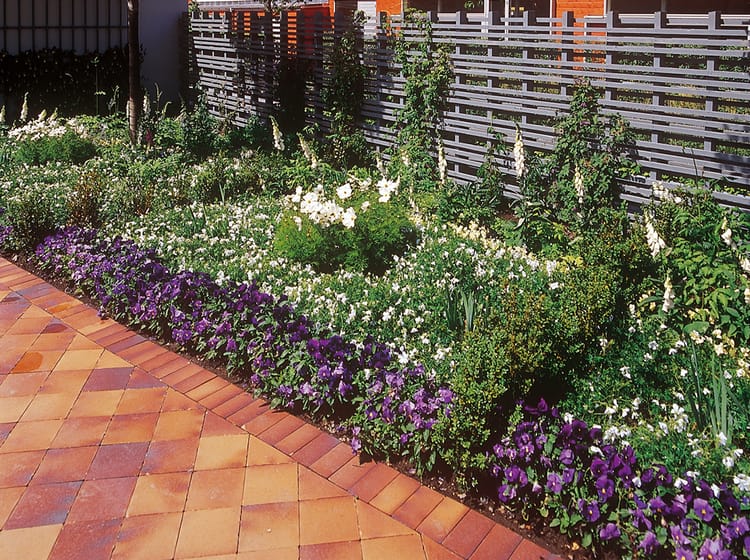 Landscaping with drip irrigation