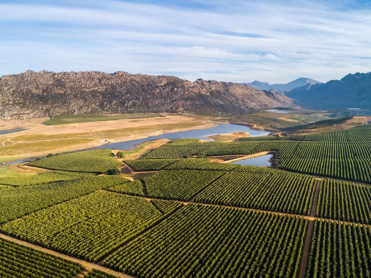 Banner International symposium on horticultural irrigation takes centre stage in Stellenbosch