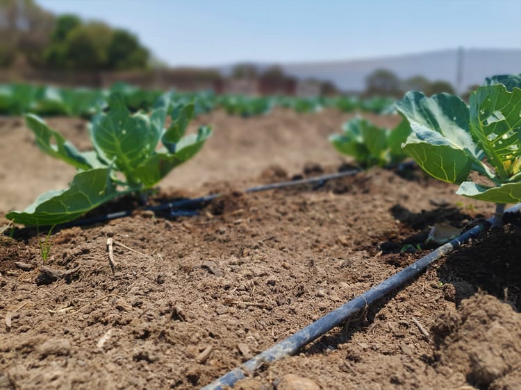 NetaKits™ - FDS™ and DripK systems