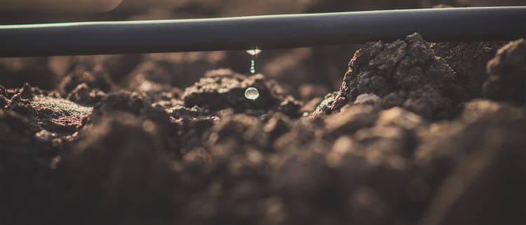 Banner Dripline Flushing - Do It!