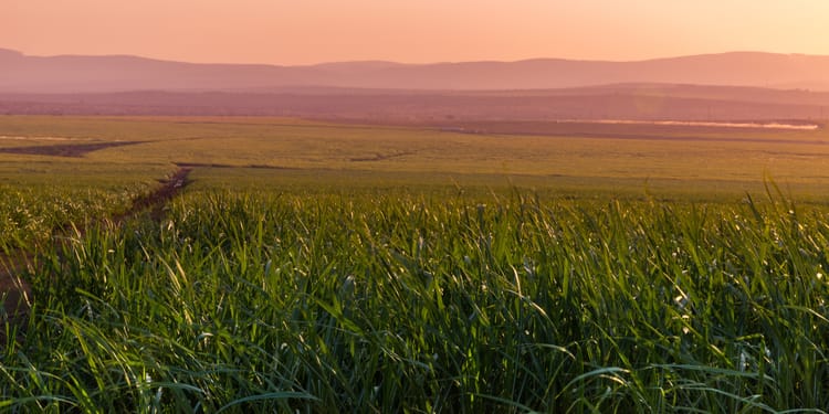 Netafim SA at SASTA 2023