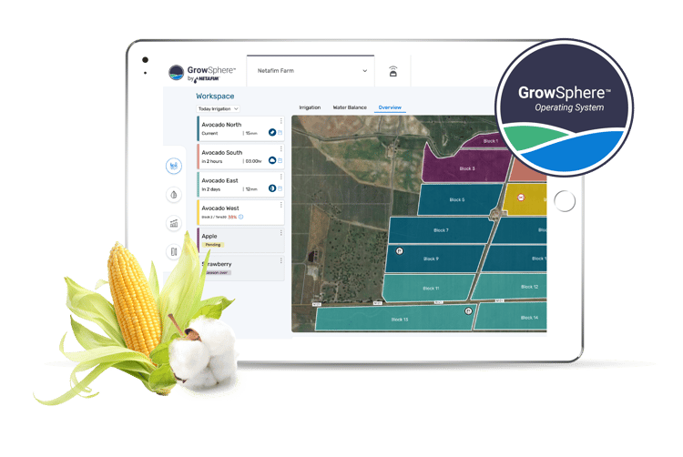 GrowSphere workspace