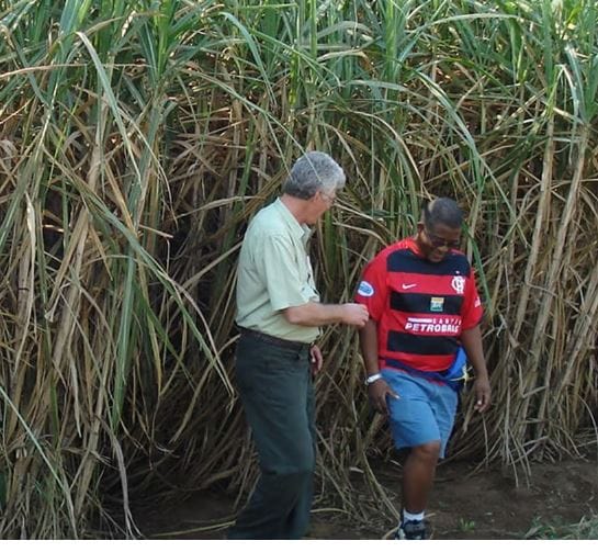 ESWATINI: SUGARCANE