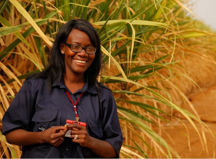 SENEGAL: SUGARCANE