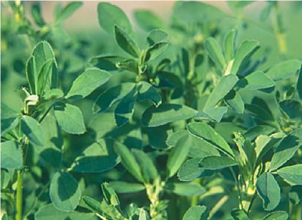 Precision Nutrigation™