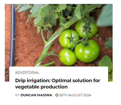 Click to read the article.