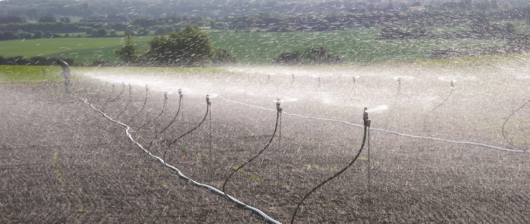 Banner Open-field sprinkler irrigation maintenance: What you need to know