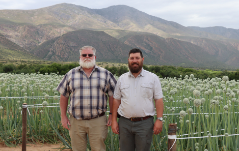 Derick and FT Human in front of an onion seed field.