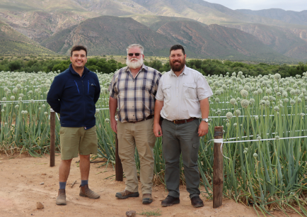Byron la Trobe, Derick Human and FT Human in front of an onion seed field