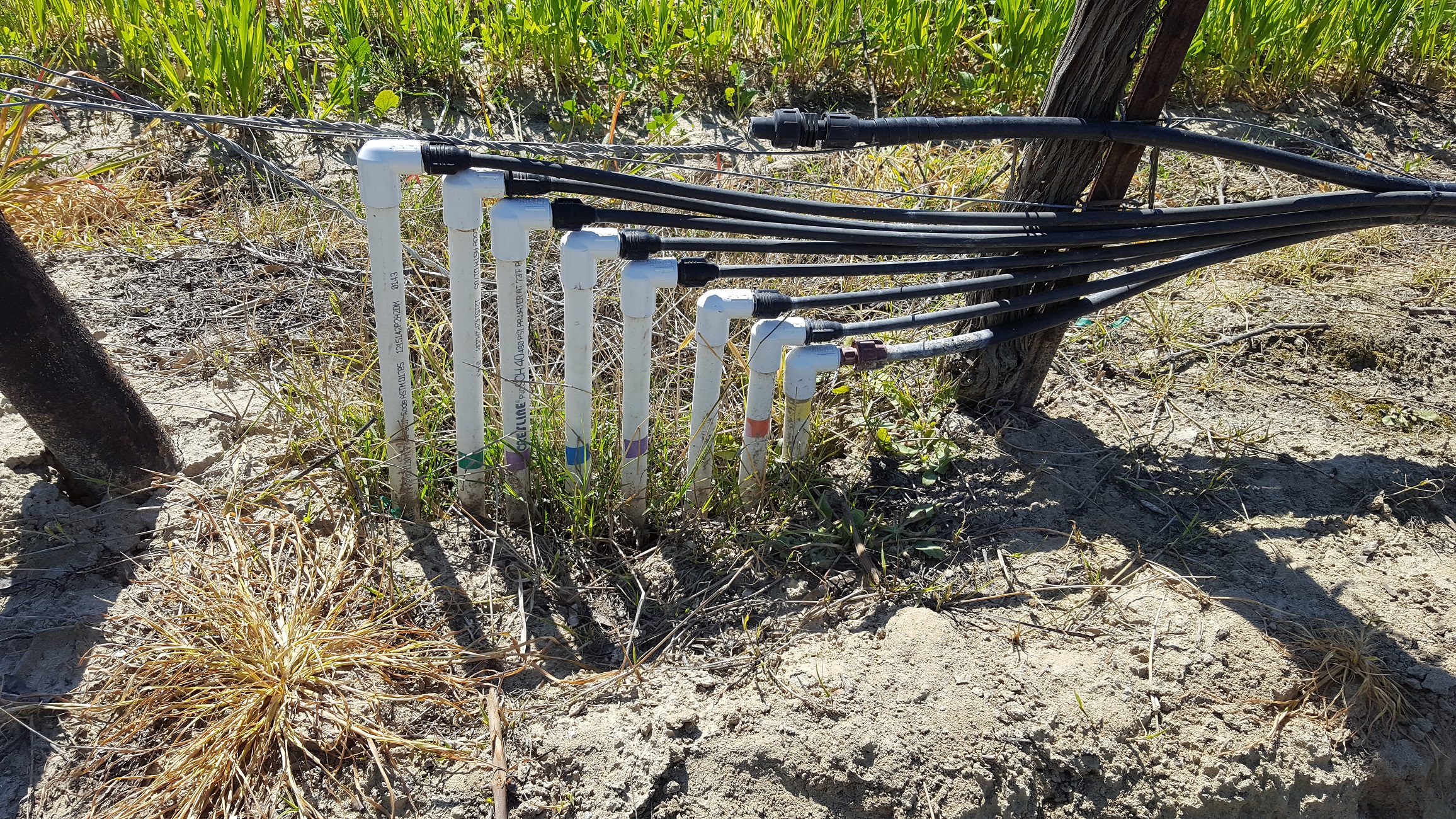 Dedicated laterals run to each irrigation pixel to give it exactly what it needs.