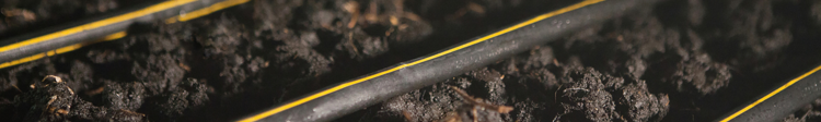 Banner The Dos and Don’ts of Drip Irrigation