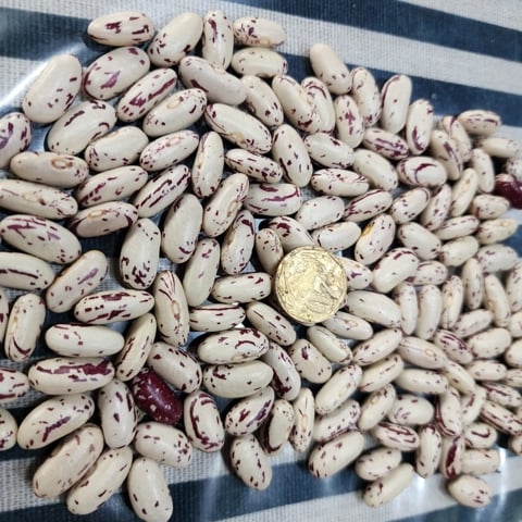 Sugar beans lying on the table.