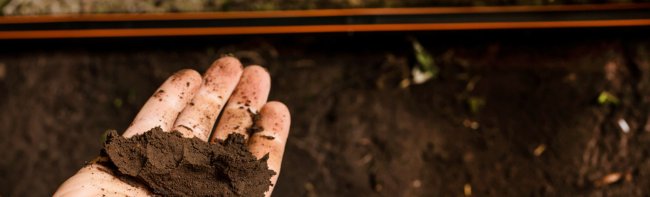 hand with soil next to a dripline