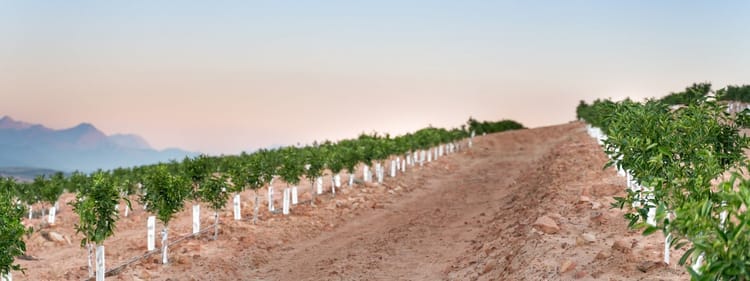 Precision irrigation academy